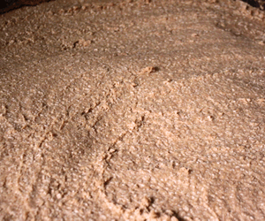 米味噌の味と特徴まとめ・人気度