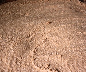 米味噌の味と特徴まとめ・人気度